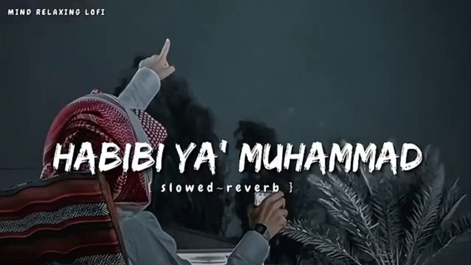 Habibi Ya Muhammad Slowed Reverb Beautiful Nasheed Naat Lofi Version Mind Relaxing Naat