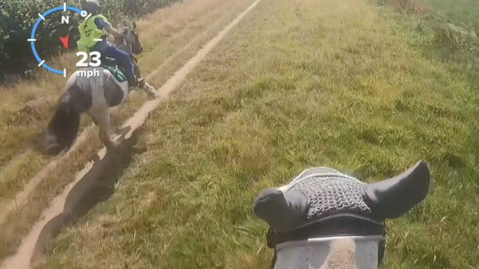 Terrifying moment 10-year-old's horse bolts reaching 28mph