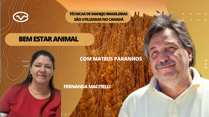 Bem-estar Animal: Técnicas de manejo brasileiras são utilizadas no Canadá