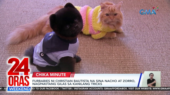 Furbabies ni Christian Bautista na sina Nacho at Zorro, nagpakitang gilas sa kanilang tricks | 24 Oras Weekend