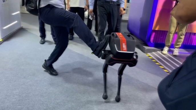 El robot de dos patas que nunca se cae aunque le des una patada