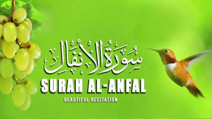 Best Soothing Recitation Of Surah Al-Anfal (The Spoils of War) | سورة ٱلأنفال  | Beautiful Recitation | Quran |quran |Tilawat