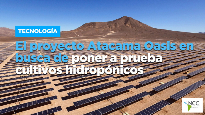 El proyecto Atacama Oasis en busca de poner a prueba cultivos hidropónicos