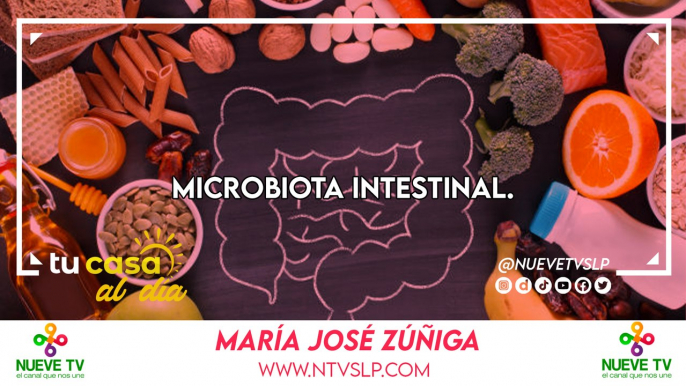 Microbiota intestinal