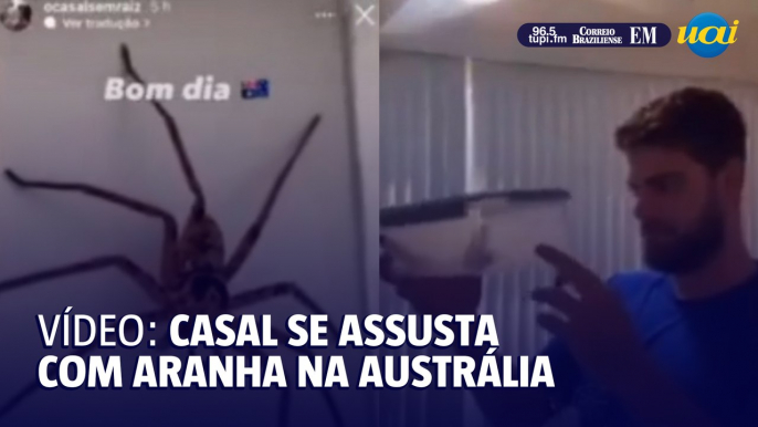 País dos animais: casal se assusta com aranha australiana