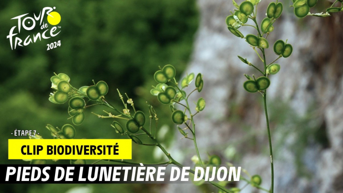 Tour de France de la biodiversité - Etape 7 - #TDF2024