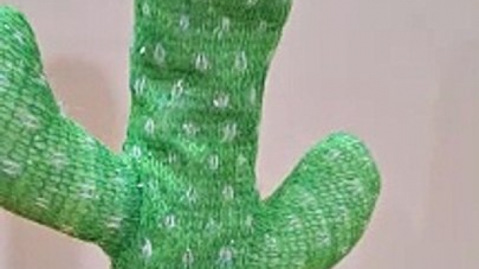 Bollywood Dialogues Get a Cactus Twist