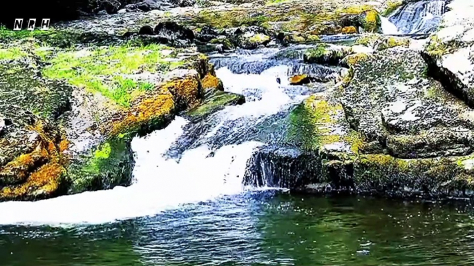 Hd relaxation film "Sweet Water Sound -5" with beautiful waterfall & natural water sound.