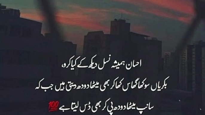 Urdu beautiful poetry #urdu beautiful poetry ✨️  #urdu sad poetry  #urdu love story #viral vedio#viralshort#viralreels#trendingvideo