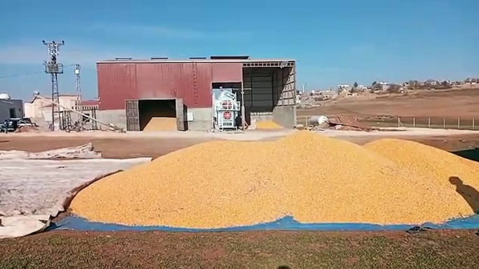 Grain dryers are used to reduce the moisture content of harvested grains. The main reasons for using these machines are as follows: 1.	Long-term Storage: High moisture content can cause grains to rot and mold. The drying process allows grains to be stored