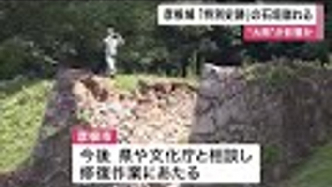 特別史跡・彦根城の石垣幅7mにわたり崩れる「誠に残念。早く修理してほしい」大雨影響か (2024/07/18 11:45)