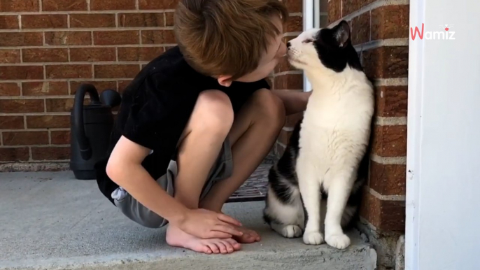 Junge nähert sich einer fremden Katze: Sekunden später sind alle aus dem Häuschen