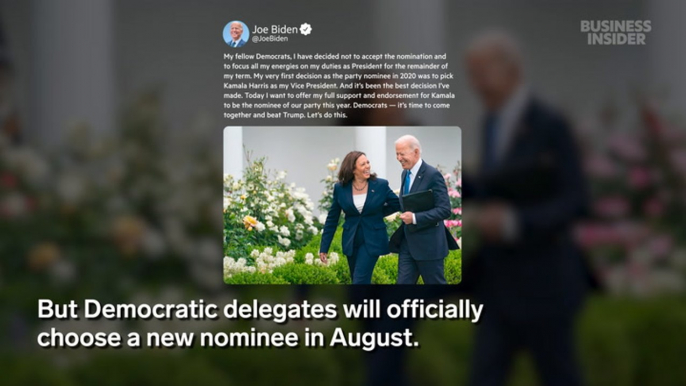 Can Kamala Harris win over Democrats after Joe Biden drops out of 2024 presidential election?