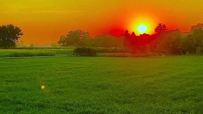 Village vibes   ………….....#nature #naturephotography #naturelovers #village #sunset #sunsets #sunsetphotography #sunsetlovers #reels #reelsinstagram #viral #viralreels #explore #instadaily #instagood #instagram