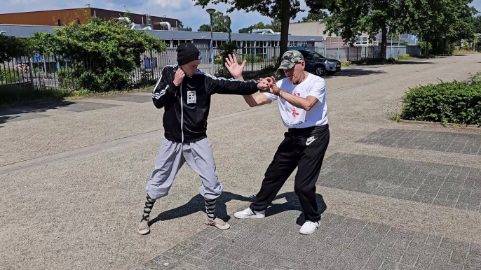 Selfdefense Tai Chi Application - He Yong Gan Martial Arts