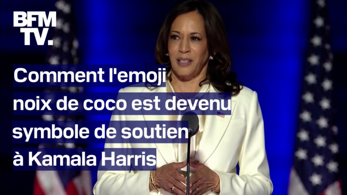 États-Unis: Comment l'émoji noix de coco est devenu le symbole de soutien à Kamala Harris