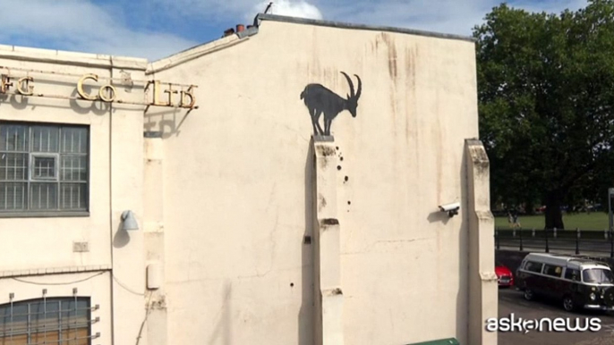 Banksy colpisce ancora: a Londra appare la "capra sul dirupo"