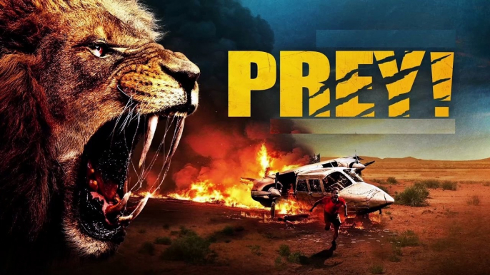 PREY ( 2024 ) - LATINO - PRESA - PELICULA ESPAÑOL LATINO