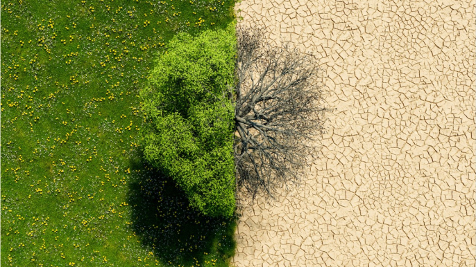 Réchauffement climatique : définition, causes et conséquences