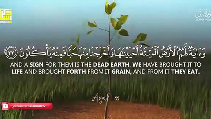 Most beautiful recitation of Surah Yaseen (Yasin) سورة يس ⋮ Zikrullah TV_2