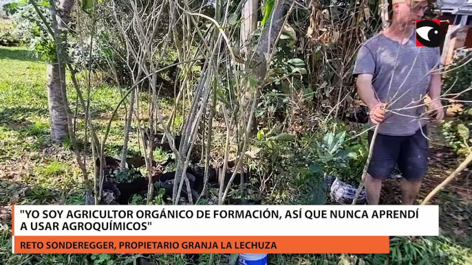 Misiones | "Yo soy orgánico de formación, así que nunca aprendí a usar agroquímicos", dijo el productor y propietario de una granja agroecológica