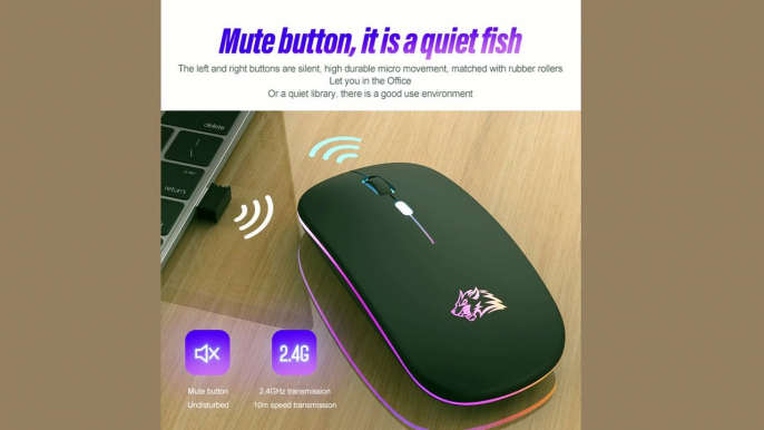 Wireless Mouse Bluetooth and 2.4GHz Dual Modes Rechargeable RGB Ergonomic Silent Click for PC iPad Laptop Cell Phone TV