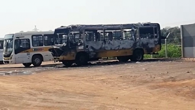 Ônibus é destruído após incêndio em pátio de empresa nas margens da BR-277, em Cascavel