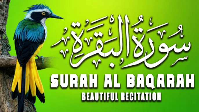 Beautiful Recitation  Of Surah Al-Baqarah Full  | سورة البقره |  Tilawat E Quran | Al Quran | Quran