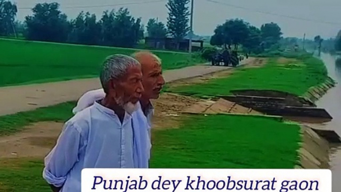 Punjab dey pind da khoobsurat manzar | very unique and beautiful life in Punjab village very beautiful view of village gaon de Zindagi village life in Punjab India and Pakistan