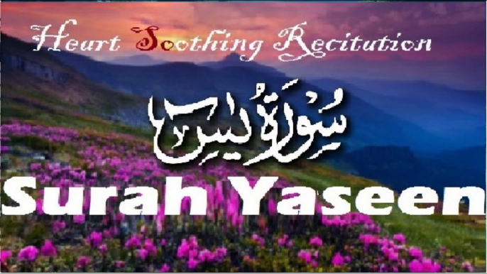 Peaceful & Heart-Touching Recitation of Surah Yasin (Yaseen) سورة يس