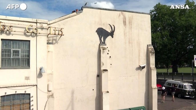 Londra, una capra sul muro: e' la nuova opera di Banksy