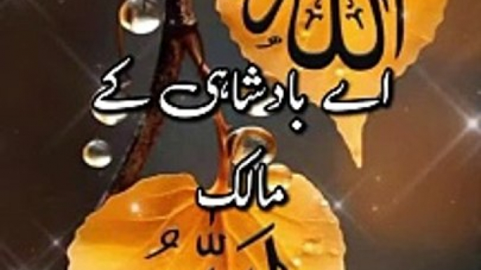 Islamic viral Short| slamic video| Holy Quran verses|Islamic viral status|Islamic reel