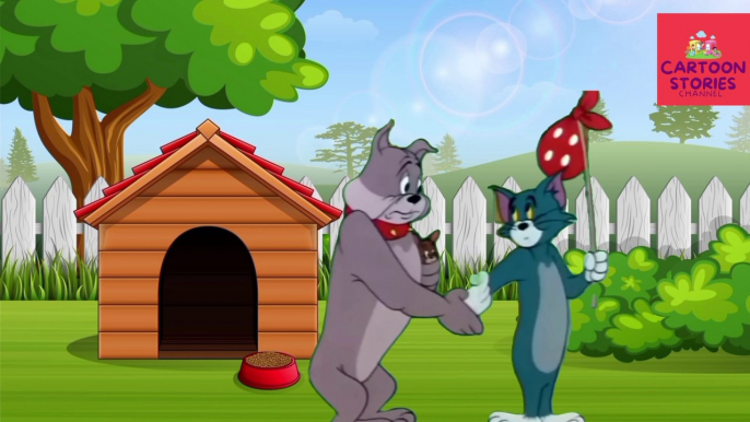 Tom Friend & Jerry-Spike Full Fun Enjoy | Cartoon Stories Channel | #tomandjerry #fairytalecartoon