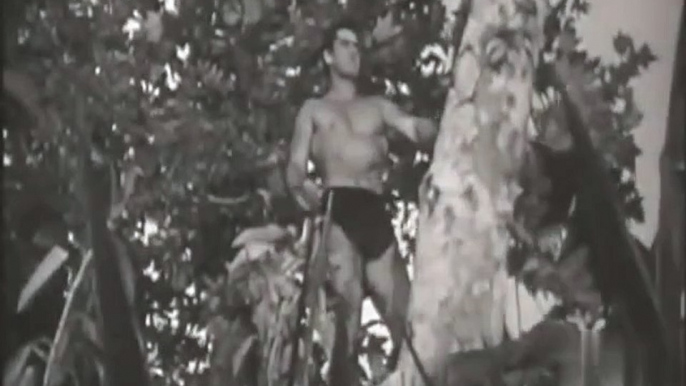 Tarzan and the Trappers (1960) - Full Movie - Gordon Scott, Eve Brent, Rickie Sorensen