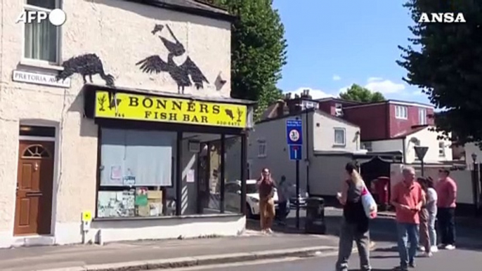 Il safari di Banksy continua con due pellicani nel nord-est di Londra