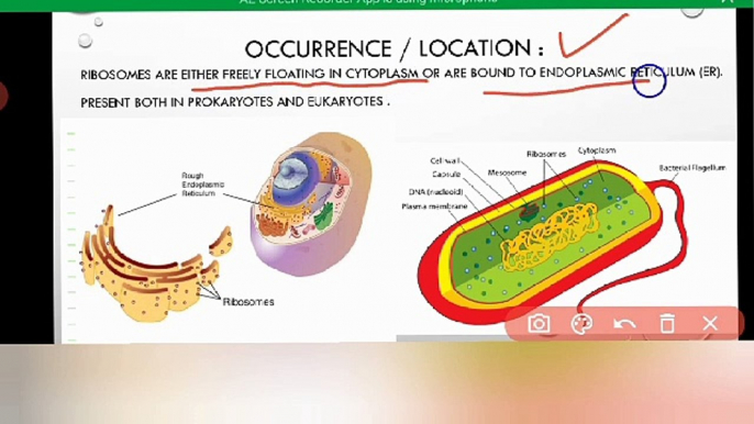 Ribosomes in Urdu / in Hindi | cell organelles | cell | Lec # 8 | chp # 4 | 9 class Biology