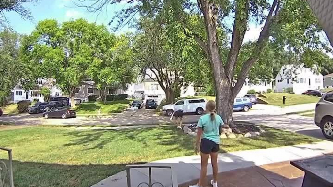 Mom Falls While Trying to Catch Ball