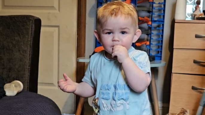 Adorable laughter: Tiny whistle sparks endless giggles in a little boy