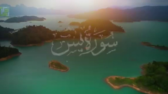 Most beautiful recitation of Surah Yaseen (Yasin) سورة يس