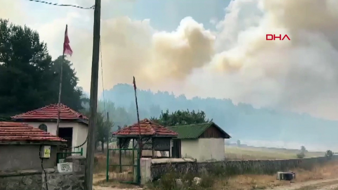 Ankara Kızılcahamam'da orman yangını