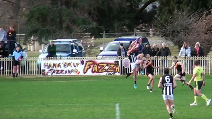 BFNL 2024 round 17: Brett Bewley highlights - The Courier - August 17, 2024