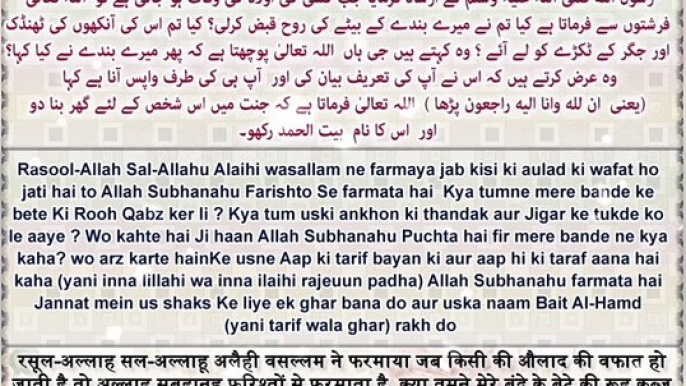 Islamic Hadees : #muhammadﷺ​ #deenkibaatein​ #quran​ #nabaligh​ #trueislamichadees​ #viralshort​ #ytshorts​  ‪@TrueIslamicHadees786‬​  #Dailymotion #Nabalighbacche #Reels #Post