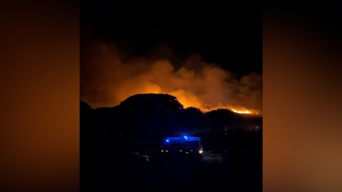 Incendie à Canet-en-Roussillon : 3 000 vacanciers évacués d’un camping