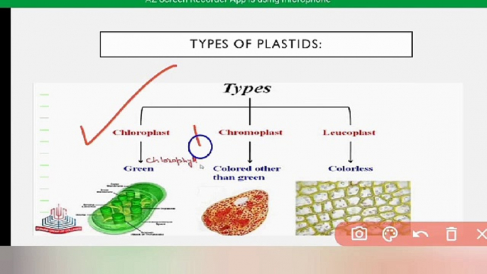 plastids class 9 Biology in Urdu / in Hindi | cell organelles in Urdu  / in Hindi| Lec# 10 | chp # 4 | cells and tissues