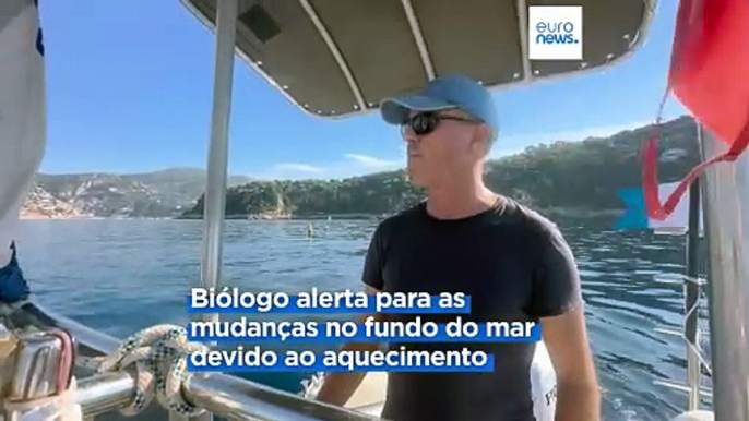 Biólogos preocupados com onda de calor marinha: água do Mediterrâneo chegou aos 30 graus