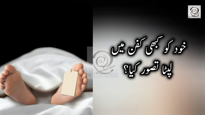 Best Urdu quotesBest Urdu quotes|Aqwal e zareen|Urdu Islamic quotes|Aqwal e zareen in Urdu|Best Urdu Quotes Mix