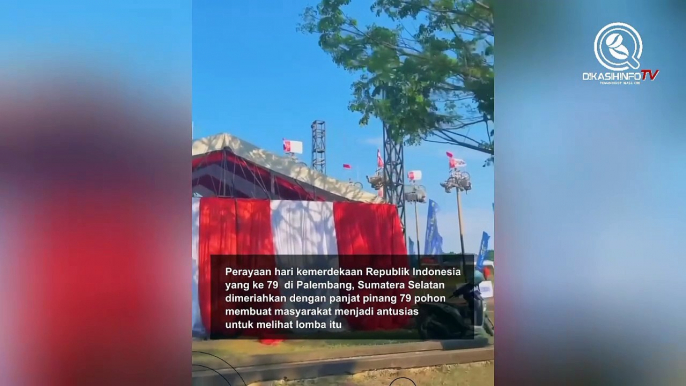 Perayaan hari kemerdekaan Republik Indonesia yang ke 79 di Palembang, Sumatera Selatan dimeriahkan dengan panjat pinang 79 pohon membuat masyarakat menjadi antusias untuk melihat lomba itu