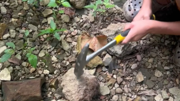 Adventure-driven son's first-ever geode hunt ends with a spectacular find