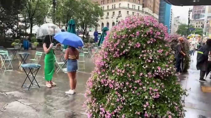 Street Walk | Heavy Rain | Manhattan New York  | Walking Rainstorm | Lightning & Thunder Sounds