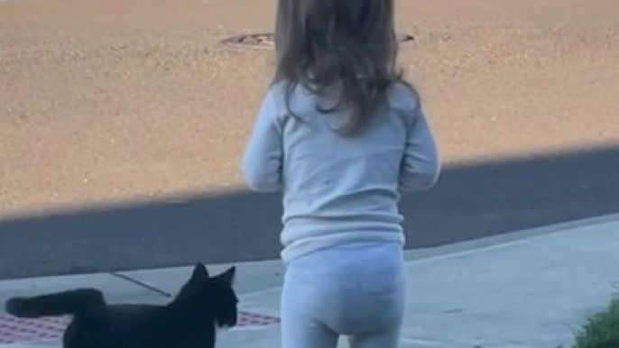 Funniest Pets Ever Baby and Cats and Dogs #dogs #shorts #cats #funnypet #animals #cuteanimals